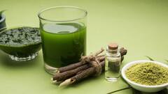 Hair Care Tips: চুলের জন্য উপযোগী, কীভাবে বাড়িতেই তৈরি করবেন নিম তেল?