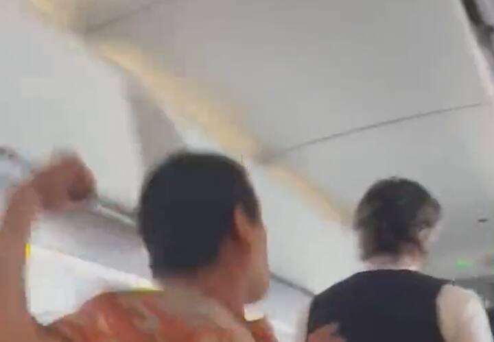American Airlines passenger comes from behind and punches flight attendant Video Goes Viral Viral Video: अमेरिकन एयरलाइंस का पैसेंजर पीछे से आया और फ्लाइट अटेंडेंट को दे मारा मुक्‍का