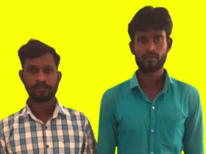 முட்டைகளை காக்க கோதுமை நாகத்துடன் மரண போராட்டம் நடத்திய கோழி பரிதாப பலி!