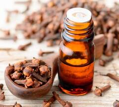 सर्दियों की कई बीमारियों का इलाज है लौंग का तेल, जानें उपयोग की सही विधि