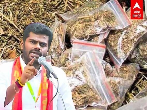 Annamalai Latest Speech : ”பெட்டிகடைகளில் கூட கஞ்சா கிடைக்கிறது” அண்ணாமலை விளாசல்