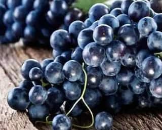 Black foods : કાળા રંગના આ ફૂડને ડાયટમાં કરો સામેલ, હંમેશા હેલ્ધી રહેશો