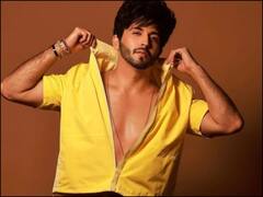 रातों-रात धीरज धूपर की हो गई 'झलक दिखला जा 10' से छुट्टी, ये टीवी स्टार्स भी बीच में छोड़ चुके हैं शो