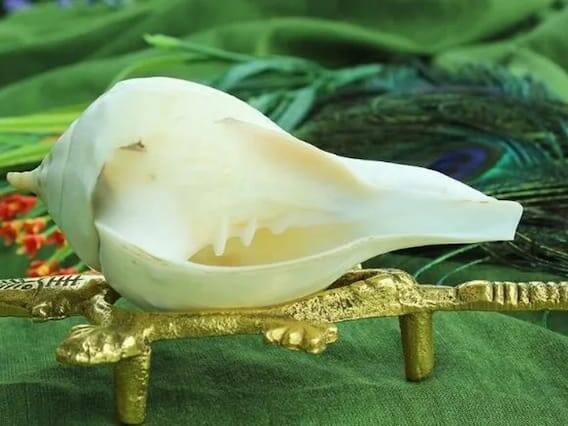 શંખ - દેવરાજ ઈન્દ્રએ ઐરાવત હાથીના ગળામાંથી એક શંખ ઉતાર્યા બાદ તેને માતા દુર્ગાને અર્પણ કર્યો હતો. દેવી દુર્ગાએ શંખના અવાજથી રાક્ષસોનો નાશ કર્યો.