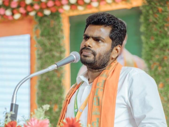 Annamalai: “கூட்டணி கட்சிகளை வளர்க்க நினைப்பவர்கள் முட்டாள்கள்” -  அதிமுக குறித்து அண்ணாமலை அதிரடி..!