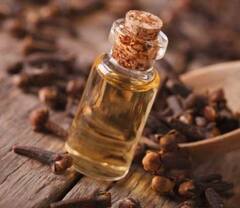 Clove Oil: ਜਾਣੋਂ ਲੌਂਗ ਦੇ ਤੇਲ ਮਨੁੱਖੀ ਸਰੀਰ ਲਈ ਕਿੰਨਾਂ ਫਾਇਦੇਮੰਦ ਅਤੇ ਵਰਤੋਂ ਕਿਵੇਂ ਕਰੀਏ