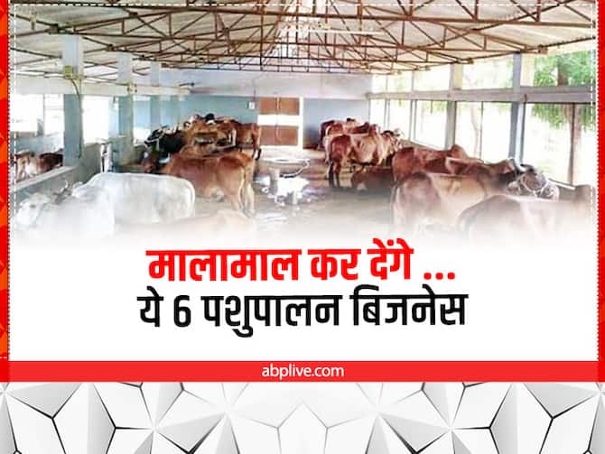 Governement Scheme Based Top 6 Animal Husbandry Business In India | Animal Husbandry: किसानों को निहाल कर देंगे ये 6 पशुपालन व्यवसाय, सब्सिडी भी देती है सरकार Governement Scheme Based Top 6 Animal Husbandry Business In India | Animal Husbandry: किसानों को निहाल कर देंगे ये 6 पशुपालन व्यवसाय, सब्सिडी भी देती है सरकार