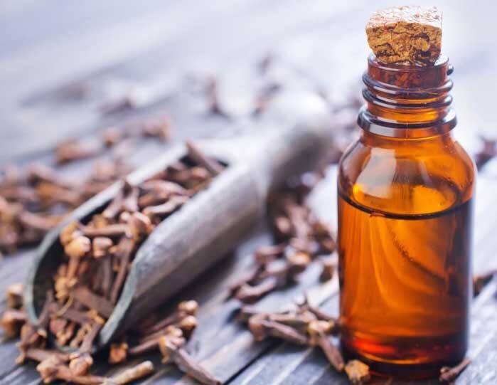 Clove Oil Benefits: There are many magical properties hidden in clove oil, it removes problems quickly, know Clove Oil Benefits : ਲੌਂਗ ਦੇ ਤੇਲ 'ਚ ਛੁਪੇ ਨ ਕਈ ਜਾਦੂਈ ਗੁਣ, ਇਹ ਸਮੱਸਿਆਵਾਂ ਨੂੰ ਜਲਦੀ ਕਰ ਦਿੰਦੈ ਦੂਰ, ਜਾਣੋ