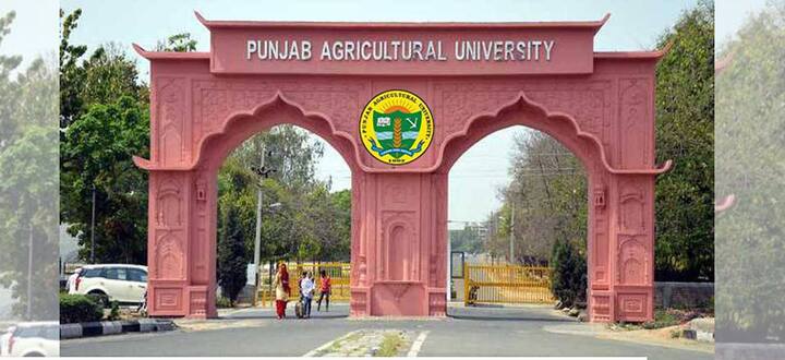 Kisan Mela starts at Punjab Agriculture University Ludhiana , CM Bhagwant Mann will also arrive  ਐਗਰੀਕਲਚਰ ਯੂਨੀਵਰਸਿਟੀ 'ਚ ਕਿਸਾਨ ਮੇਲਾ ਸ਼ੁਰੂ, ਸੀਐਮ ਭਗਵੰਤ ਮਾਨ ਵੀ ਪਹੁੰਚਣਗੇ