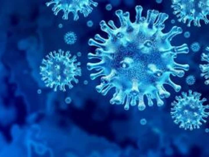 Viruses watch us They attack when they get the chance, new research reveals व्हायरस घात लावून बसतात! संधी मिळताच करतात हल्ला, नवीन संशोधनातून उलगडा