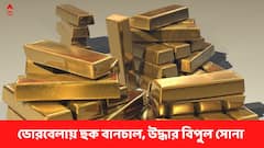 রাস্তায় দাঁড়িয়ে গাড়ি, তল্লাশি করতেই মিলল ১১ কেজি সোনা