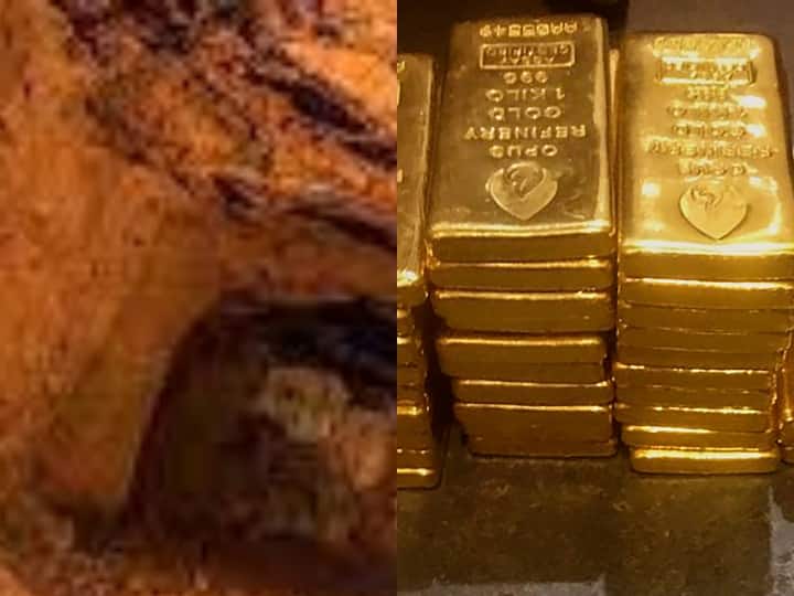 Saudi Arabia: मदीना में सोने का भंडार, सऊदी अरब को मिल सकता है 533 मिलियन डॉलर का निवेश और 4000 नौकरियां