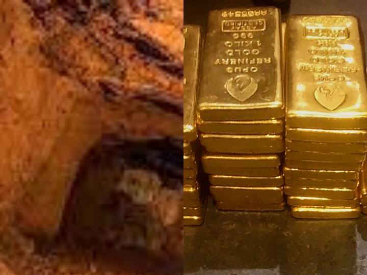 Gold reserves in Medina, Saudi Arabia may get $533 million investment and 4000 jobs Gold reserves in Medina, Saudi Arabia could get 3 million funding and 4000 jobs