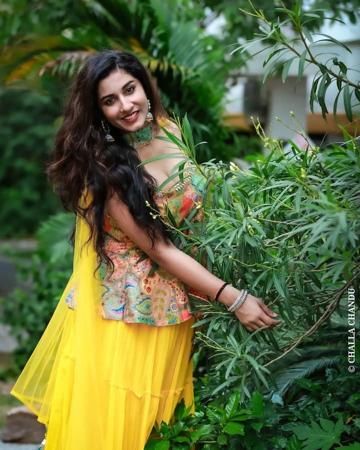 'ది బేకర్ అండ్ ది బ్యూటీ’ వెబ్సీరిస్లో నటించింది. ఆహా ఓటీటీలో ఇది ప్రసారం అవుతోంది. Image Credit: Vishnu Priya/Instagram