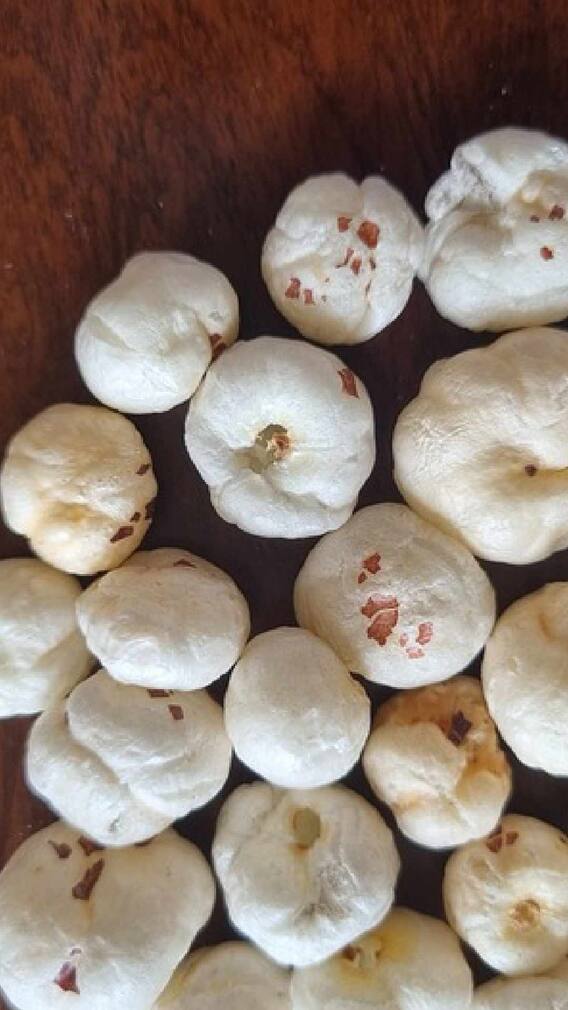 स्वास्थ्य युक्तियाँ : हल्का मखाना स्वास्थ्य के लिए बहुउद्देश्यीय है; लाभ पढ़ें स्वास्थ्य युक्तियाँ : हल्का मखाना स्वास्थ्य के लिए बहुउद्देश्यीय है; लाभ पढ़ें