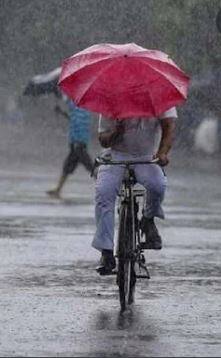 Photo : राज्यात पावसाचा जोर कमी, विदर्भात यलो अलर्ट