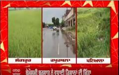 Punjab weather : ਬੇਮੌਸਮੀ ਬਰਸਾਤ ਨੇ ਵਧਾਈ ਕਿਸਾਨਾਂ ਦੀ ਚਿੰਤਾ
