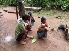 सुकमा के बाद बीजापुर-नारायणपुर में अज्ञात बीमारी से जा रही ग्रामीणों की जान, 5 महीनों में 40 लोगों की मौत