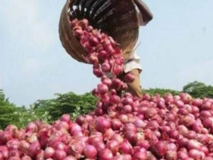 50 percent onion spoiled procured by NAFED  नाफेडने खरेदी केलेला 50 टक्के कांदा खराब, वातावरणातील बदलामुळे कांदा खराब झाल्याची माहिती 