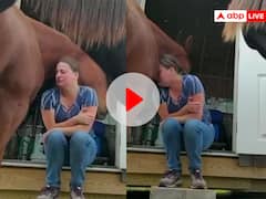 रोती हुई महिला को घोड़े ने दिया दिलासा, दिल जीत लेगा ये Video