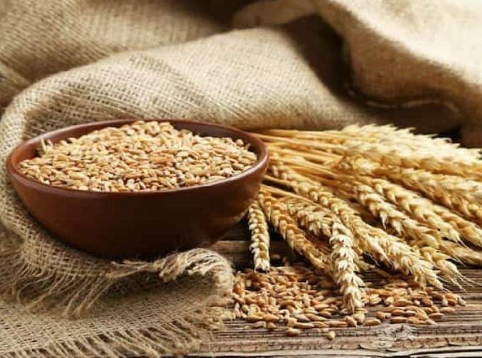 ਪੀਬੀਡਬਲਯੂ 550 (PBW 550) ਕਣਕ ਦੀ ਨਵੀਨਤਮ ਵਿਕਸਤ ਪੀਬੀਡਬਲਯੂ 550 ਕਿਸਮ ਰੋਗ ਰੋਧਕ ਵੀ ਹੈ, ਜਿਸ ਕਾਰਨ ਜੇ ਕਾਸ਼ਤ ਕੀਤੀ ਜਾਵੇ ਤਾਂ ਕਣਕ ਦੀ ਫ਼ਸਲ ਵਿੱਚ ਵੱਡੀਆਂ ਬਿਮਾਰੀਆਂ ਹੋਣ ਦੀ ਸੰਭਾਵਨਾ ਘੱਟ ਹੁੰਦੀ ਹੈ। ਇੱਕ ਅੰਦਾਜ਼ੇ ਅਨੁਸਾਰ, PBW 550 ਕਿਸਮ ਬਿਜਾਈ ਤੋਂ 145 ਦਿਨਾਂ ਦੇ ਅੰਦਰ ਵਾਢੀ ਲਈ ਤਿਆਰ ਹੋ ਜਾਂਦੀ ਹੈ। ਇਸ ਕਿਸਮ ਦੀ ਬਿਜਾਈ ਕਰਨ 'ਤੇ ਪ੍ਰਤੀ ਏਕੜ 22 ਤੋਂ 23 ਕੁਇੰਟਲ ਅਨਾਜ ਪੈਦਾ ਕੀਤਾ ਜਾ ਸਕਦਾ ਹੈ।