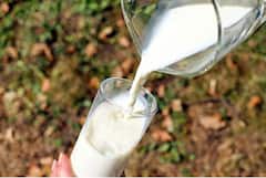 Health Tips: কোন সময়ে দুধ খেলে তা সবথেকে বেশি স্বাস্থ্যকর?