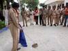 Basti News: बस्ती: थाने में घुसा जहरीला सांप रसेल वायपर, पुलिस वाले डर से इधर-उधर भागे, फिर...