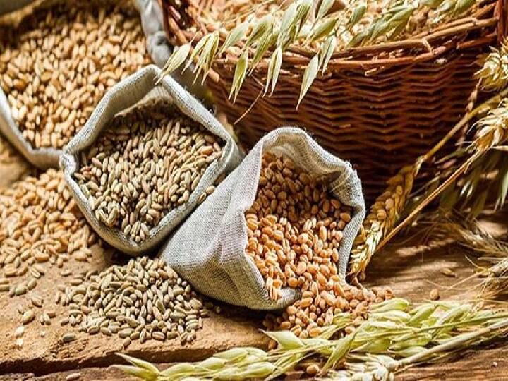 तीन चरणों में करें गेहूं की खेती- कृषि विशेषज्ञों के मुताबिक गेहूं की खेती तीन चरणों में की जाती है, जिसमें अगेती खेती, मध्यम खेती और पछेती खेती शामिल है. गेहूं की खेती का पहला चरण 25 अक्टूबर से 10 नवंबर तक होता है. दूसरी चरण 11 नवंबर से 25 नवंबर तक  और तीसरा चरण 26 नवंबर से 25 दिसंबर तक रहता है. किसान चाहें तो सिंतबर के अंत से शुरू करके 25 अक्टूबर तक गेहूं की अगेती किस्मों की बुवाई कर सकते हैं. बाजार से गेहूं के प्रमाणित बीज ही खरीदने चाहिये.