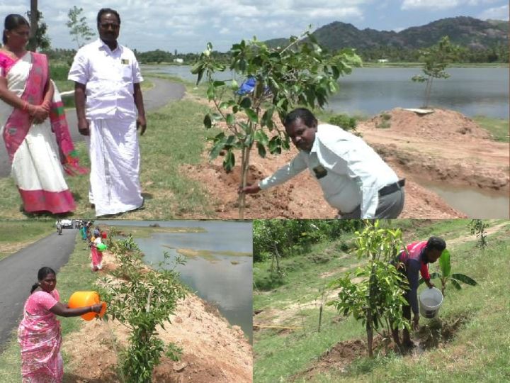 தருமபுரி : மொபைல் செயலி மூலம் மின் மோட்டர்களை இயக்கி மின்சாரத்தை சேமித்து வரும் ஊராட்சி மன்ற தலைவர்