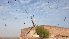 Maa Chamunda Temple: जहां मां चामुंडा ने चील बनकर की थी जोधपुर के लोगों की रक्षा, जानिए इस प्राचीन मंदिर का इतिहास