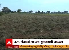 પોરબંદરમાં મગફળીની ઉત્પાદન પર અસર, અનરાધાર વરસાદથી ઉત્પાદન ઘટશે