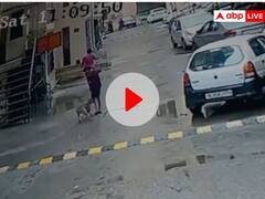 Watch: गाजियाबाद की सोसायटी में 11 वर्षीय बच्चे पर स्ट्रीट डॉग ने किया जबरदस्त हमला, वीडियो आया सामने