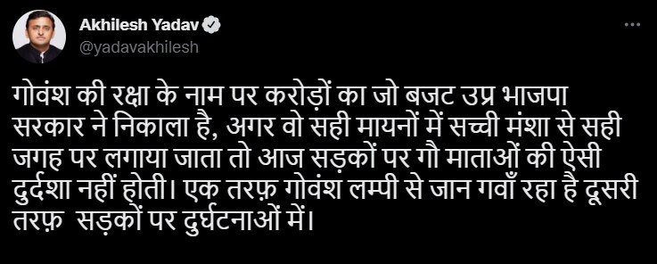 Lumpy Virus: लंपी वायरस से गायों की मौत ने पकड़ा सियासी तूल, मायावती के बाद अखिलेश यादव ने BJP सरकार को घेरा