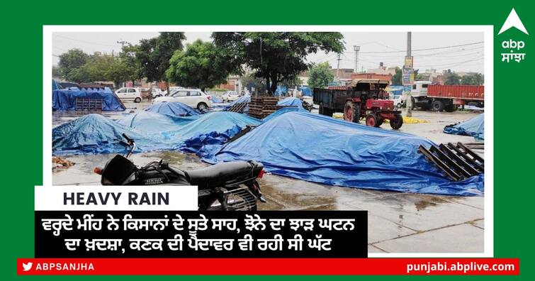 heavy rain alert in punjab risk of reduced paddy yield ਵਰ੍ਹਦੇ ਮੀਂਹ ਨੇ ਕਿਸਾਨਾਂ ਦੇ ਸੂਤੇ ਸਾਹ, ਝੋਨੇ ਦਾ ਝਾੜ ਘਟਨ ਦਾ ਖ਼ਦਸ਼ਾ, ਕਣਕ ਦੀ ਪੈਦਾਵਰ ਵੀ ਰਹੀ ਸੀ ਘੱਟ