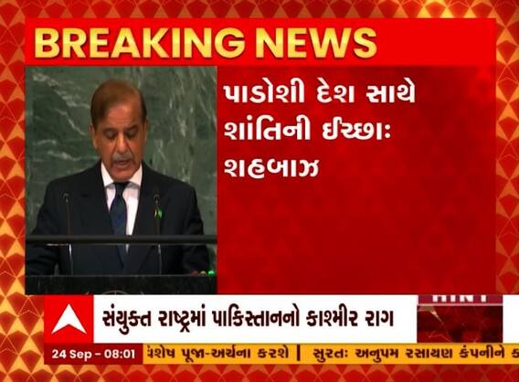 પાકિસ્તાનને ફરીએકવાર UNમાં કાશ્મીર રાગ, કશ્મીરને હિંદૂ રાજ્ય બનાવવા માગે છે ભારત