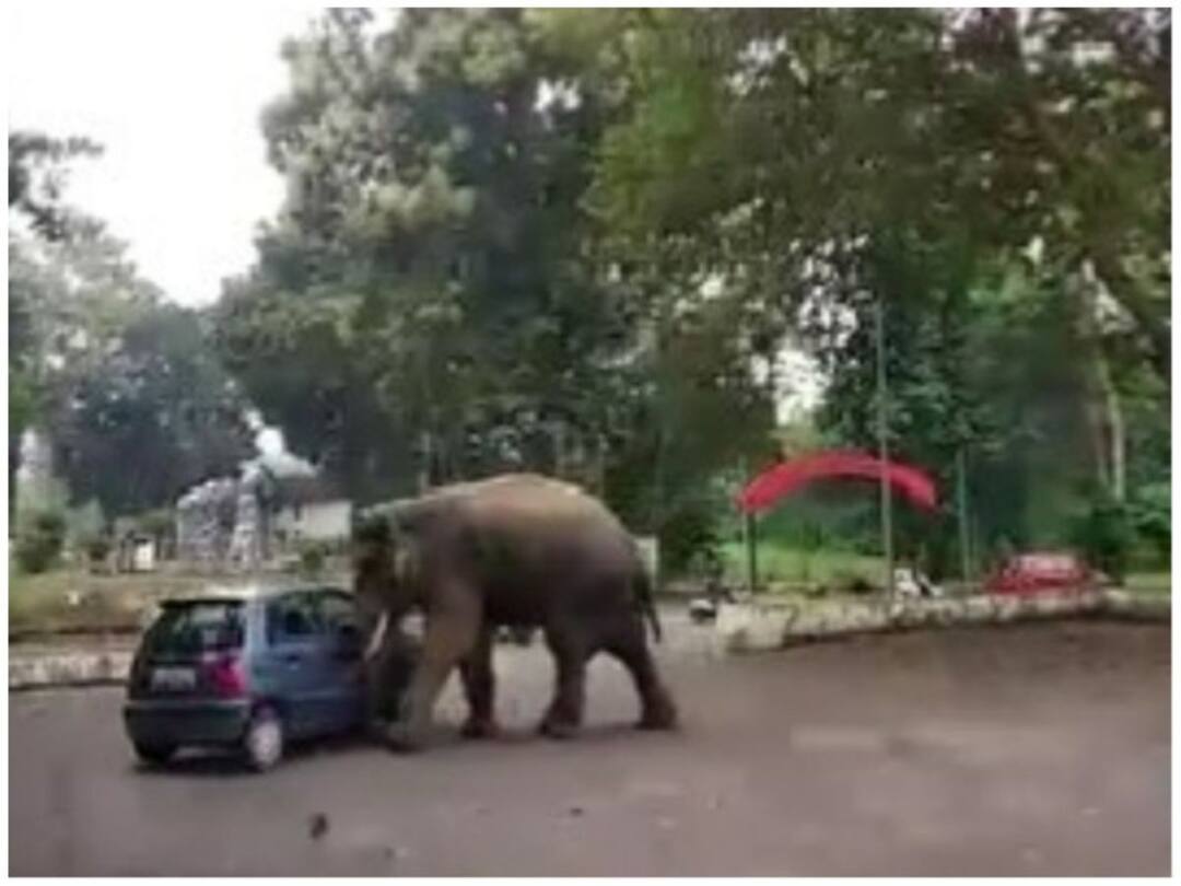 elephant pushes car like a toy Watch viral video Viral Video: আসল গাড়িকেই 'খেলনা' ভেবে খেলায় মেতেছে হাতি, ভিডিও ভাইরাল নেট দুনিয়ায়