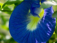 Navratri 2022 Shopping: नवरात्रि के पहले दिन घर ले आएं ये 5 चीजें, मां दुर्गा के साथ देवी लक्ष्मी भी होंगी बेहद प्रसन्न