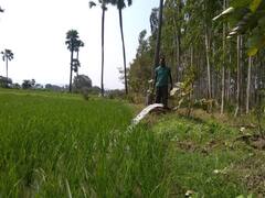 వ్యవసాయానికి ఉచిత విద్యుత్ అందిస్తున్న ఏకైక రాష్ట్రం తెలంగాణ, మరెన్నో కీలక విషయాలు