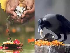 Shradh Paksha 2025: ਸ਼ਰਾਧਾਂ 'ਚ ਨਹੀਂ ਖਰੀਦਣਾ ਚਾਹੀਦਾ ਆਹ ਸਮਾਨ, ਨਹੀਂ ਤਾਂ ਹੋ ਸਕਦਾ ਵੱਡਾ ਨੁਕਸਾਨ