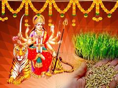 Shardiya Navratri 2022: नवरात्रि में जौ बोने का महत्व और जानें इसके शुभ-अशुभ संकेत