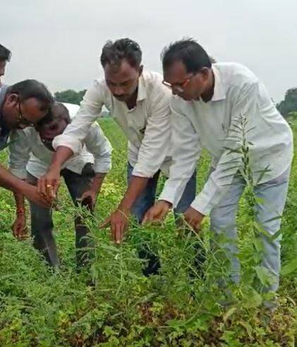 आर्णी तालुक्यातील कोपेश्वर येथील 50 एकर शेती त्यामुळं उध्वस्त