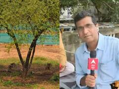 कूनो में चीता कवरेज की चुनौतियां, ओबी वैन के साथ पार्क के ठीक अंदर से बुलेटिन