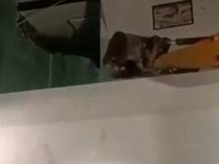 अंकिता भंडारी केस: आरोपी पुलकित आर्य के रिजॉर्ट पर आखिर किसने चलवाया बुलडोजर? डीएम ने दिए जांच के आदेश