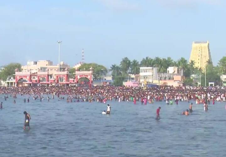 જ્યોતિષ શાસ્ત્ર અનુસાર સર્વ પિતૃ અમાસના દિવસે પીપળના વૃક્ષની પૂજાનું વિશેષ મહત્વ છે. આ દિવસે સવારે વહેલા ઊઠીને પીપળના ઝાડ નીચે દીવો પ્રગટાવો. એવું માનવામાં આવે છે કે આમ કરવાથી પિતૃઓ પ્રસન્ન થાય છે અને તેમને સમૃદ્ધિનો આશીર્વાદ મળે છે.