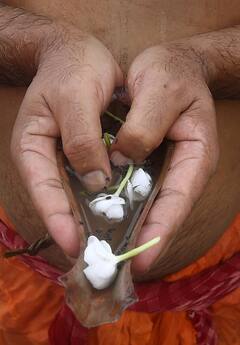 Mahalaya 2022 : পিতৃপক্ষের অবসান, মহালয়ার মাহেন্দ্রক্ষণে পিতৃপুরুষের উদ্দেশে তর্পণ