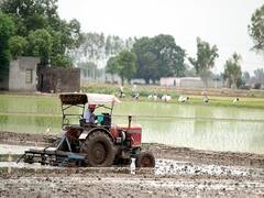 UP: CAG Report Reveals Several Forest Divisions Made Fraudulent Payments Against Plantation Works