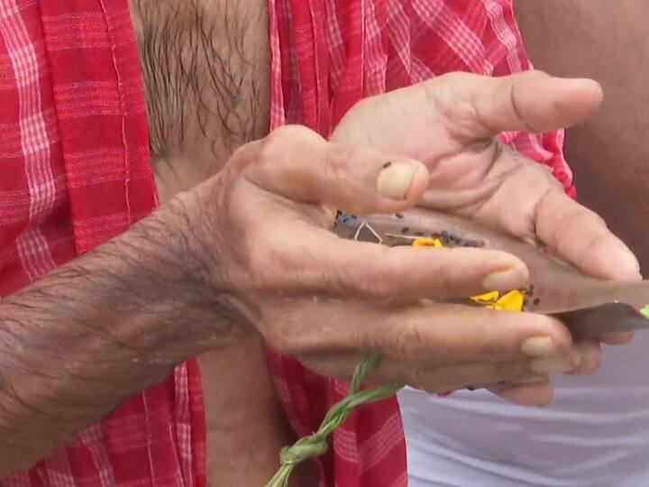 In addition to honouring ancestors, the day is observed to highlight the power of truth and courage, as well as the triumph of good over evil. Goddess Durga, according to Hindu mythology, was formed by the forces of all superior deities to fight a demon named Mahishasura, who is thought to have inflicted ruin on Earth. (Image Source: ANI)