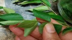 Beautiful tips: ચહેરા પરની કરચલીઓને દૂર કરવા માટે આ સરળ ઉપાય અજમાવી જુઓ