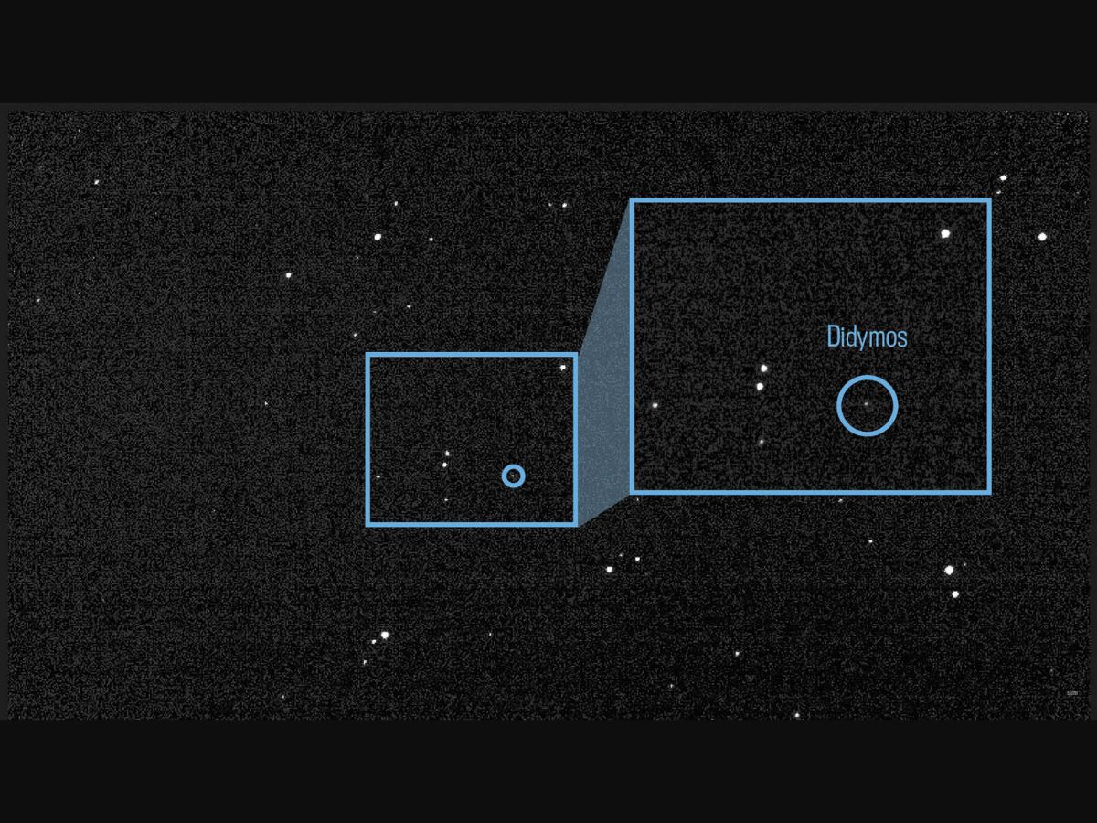 Earlier this year, DART got its first look at asteroid Didymos and its orbiting moonlet Dimorphos. Photo: NASA