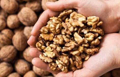 Walnut Benefits: Eat only 2 walnuts every morning on an empty stomach, these diseases will go away Walnut Benefits : ਰੋਜ਼ਾਨਾ ਸਵੇਰੇ ਖਾਲੀ ਪੇਟ ਖਾਓ ਸਿਰਫ਼ 2 ਅਖਰੋਟ, ਦੂਰ ਹੋ ਜਾਣਗੀਆਂ ਇਹ ਬਿਮਾਰੀਆਂ